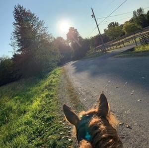 Meet your Posher, Gregory